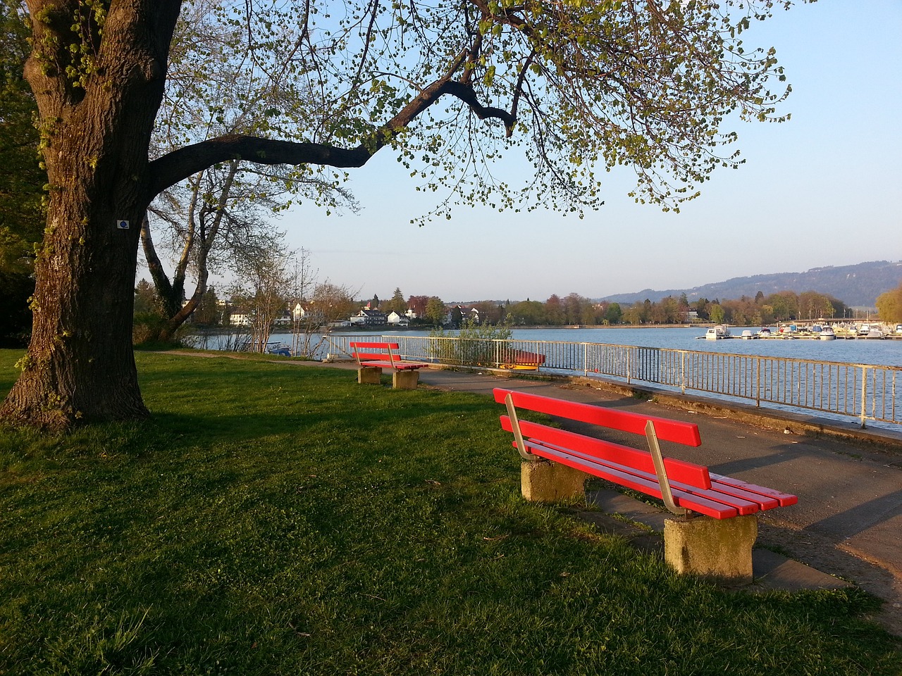 手实力的直 手实力的直