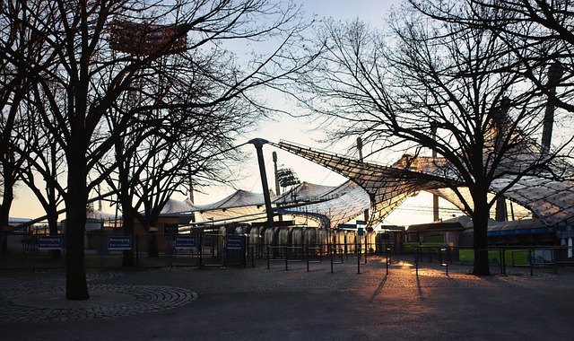 场对掘金的 场对掘金的