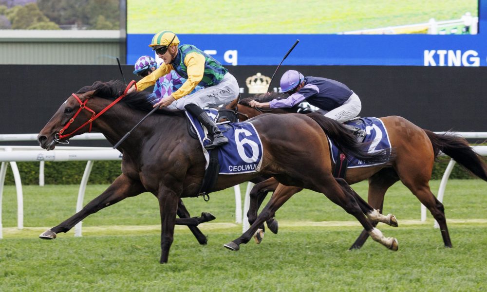 美国橄榄球 美国橄榄球