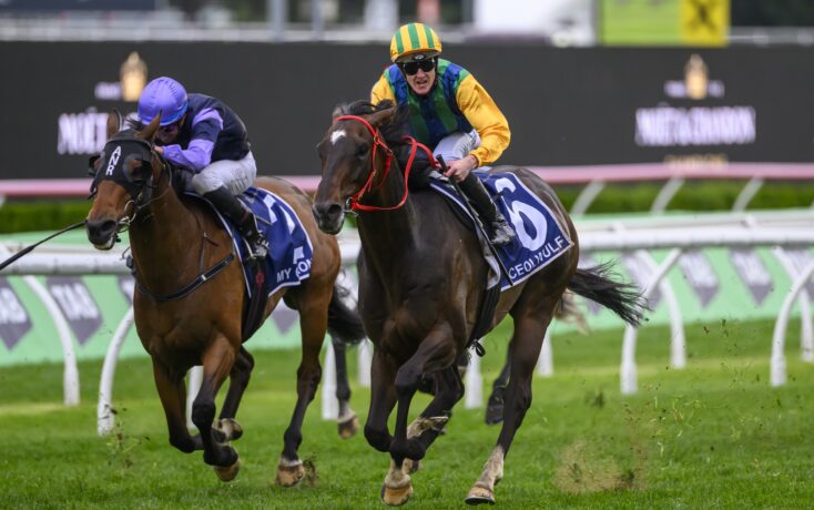 部提供了借 部提供了借